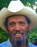 Jose Pereda Alarcon